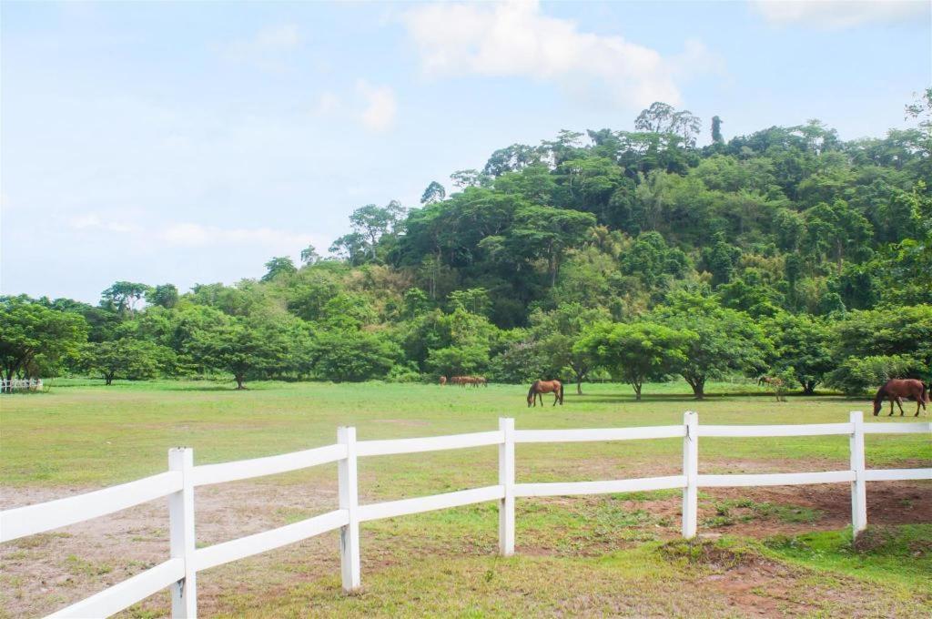 Fontana Hotel And Villas - Fontana Hot Spring Leisure Parks Mabalacat Bagian luar foto